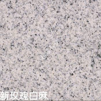 新玫瑰白麻