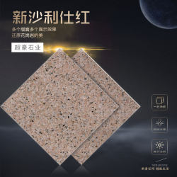 新沙利仕红