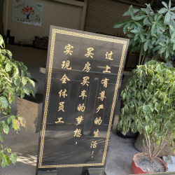 案例效果