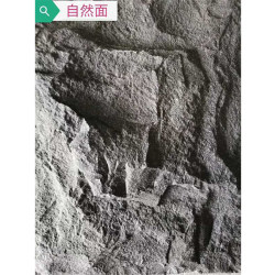 自然面