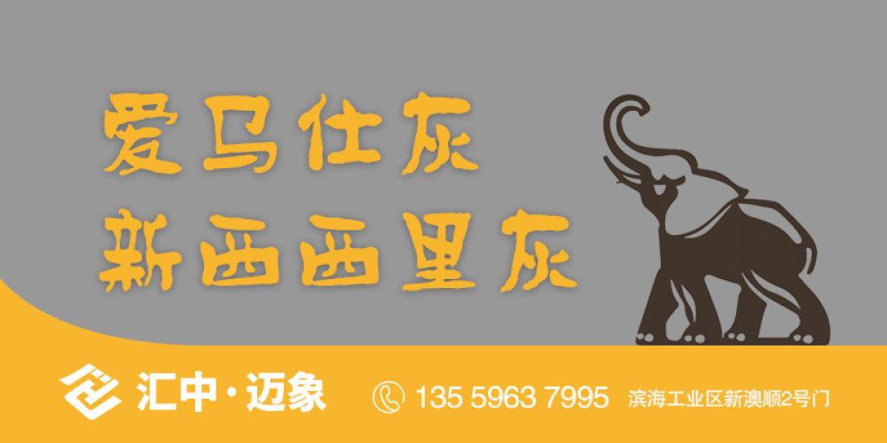 汇中·迈象