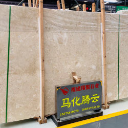 大版展示
