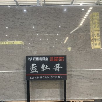 蓝牡丹