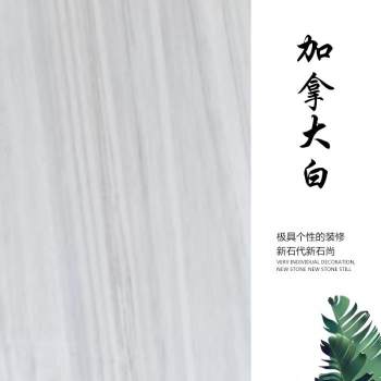 加拿大白