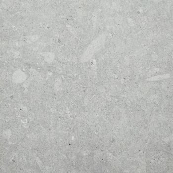 莱茵灰