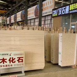 汉石通木化石葡米