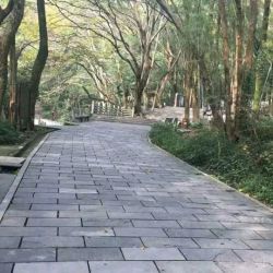 青石板