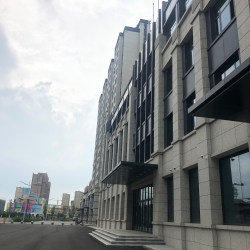 白玫瑰大花