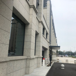白玫瑰大花