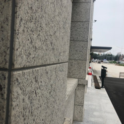 白玫瑰大花