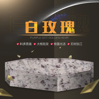 白玫瑰