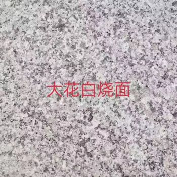 大花白火烧