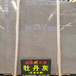 大板展示