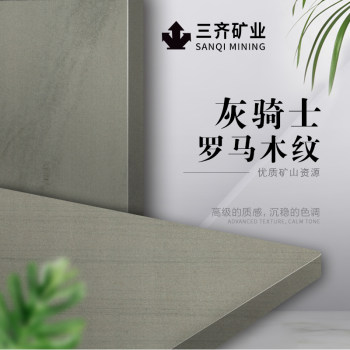 灰骑士
