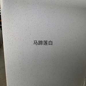 展兴岗石-马蹄莲白