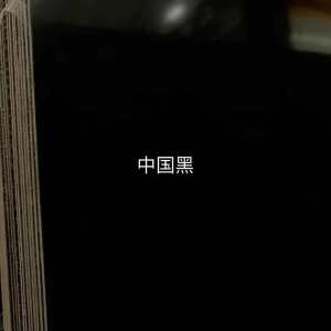 展兴岗石-中国黑