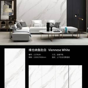展兴岗石-维也纳鱼肚白1200×2700×6