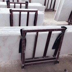 广西白