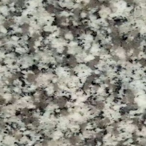 蔡庄金龙石材-G623
