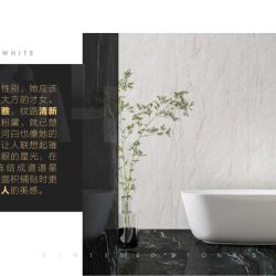 银河白