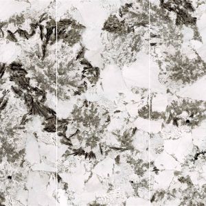 五号岩仓-雪山银狐