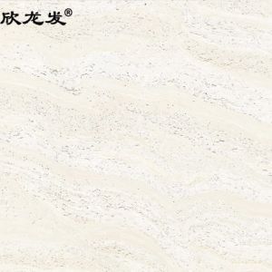 南安市欣龙建材发展有限公司-星河洞石（01HD）