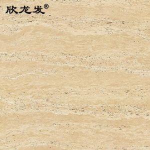 南安市欣龙建材发展有限公司-极品洞石（08XD）