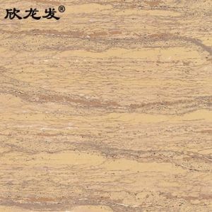 南安市欣龙建材发展有限公司-极品洞石（06XD）