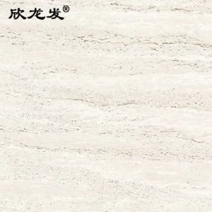 南安市欣龙建材发展有限公司-极品洞石（01XD）