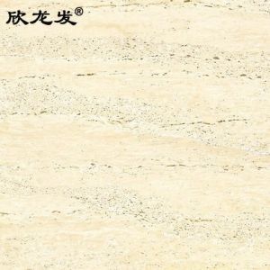 南安市欣龙建材发展有限公司-极品洞石（00XD）
