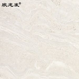 南安市欣龙建材发展有限公司-星河洞石（07HD）