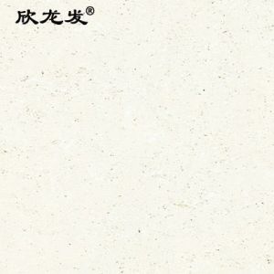南安市欣龙建材发展有限公司-洞窟石（08D）