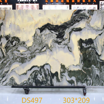 DS497