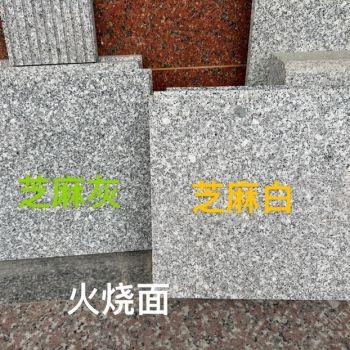 封开花广东芝麻灰