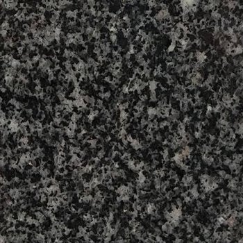 芝麻黑654（新矿）