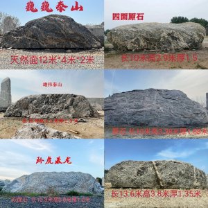 风安园林景观-泰山石