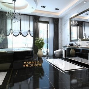 亿达尚石馆-劳伦黑金案例