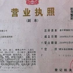 远程公司营业执照