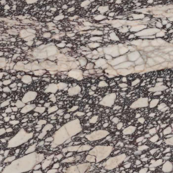 紫罗兰