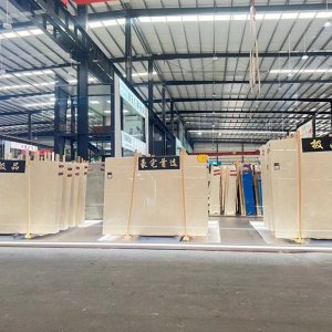 华天白玉兰世家-白玉兰