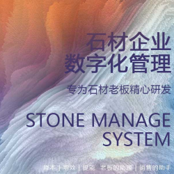 数字化服务案例126