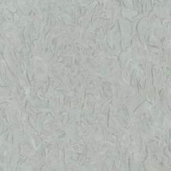 白海棠