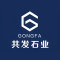共发石业公司