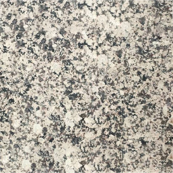 木玛丽