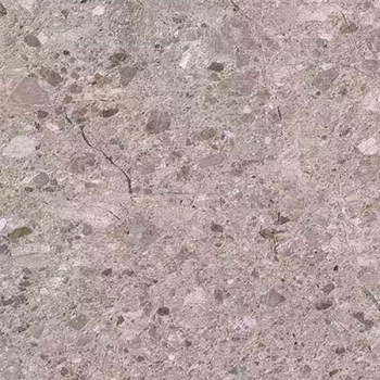 沙滩玫瑰