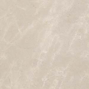 国合源建材-白玉兰