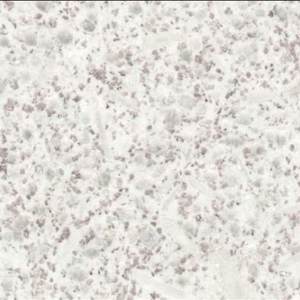 南安市拓威石材-珍珠白