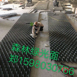 中国绿