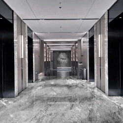 鱼肚灰