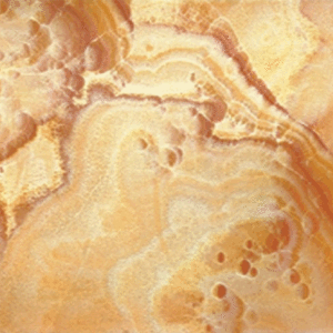 香港正源贸易有限公司-桔子玉